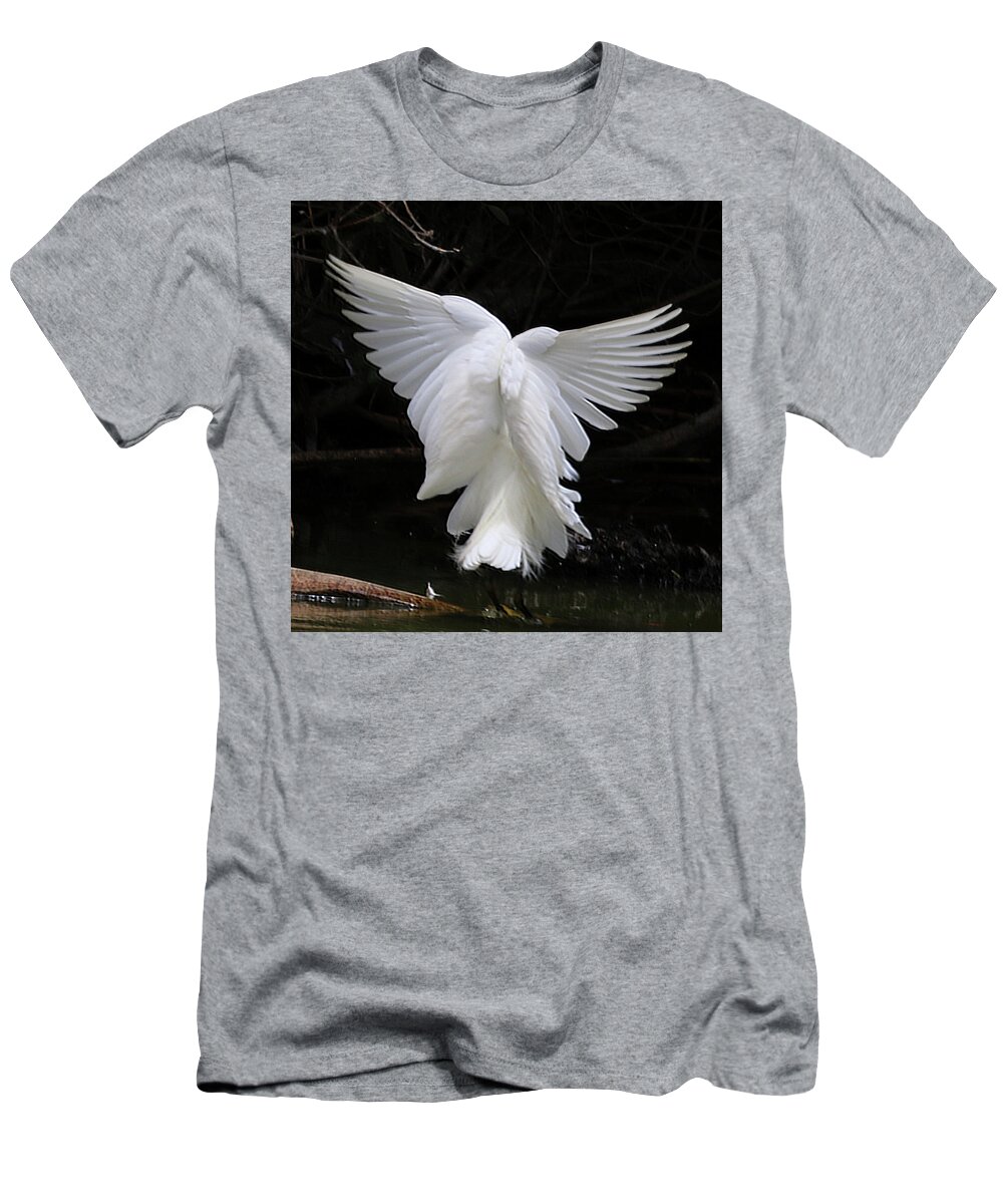 Egret T-Shirt featuring the photograph Angel Wings Egret by Perry Hoffman