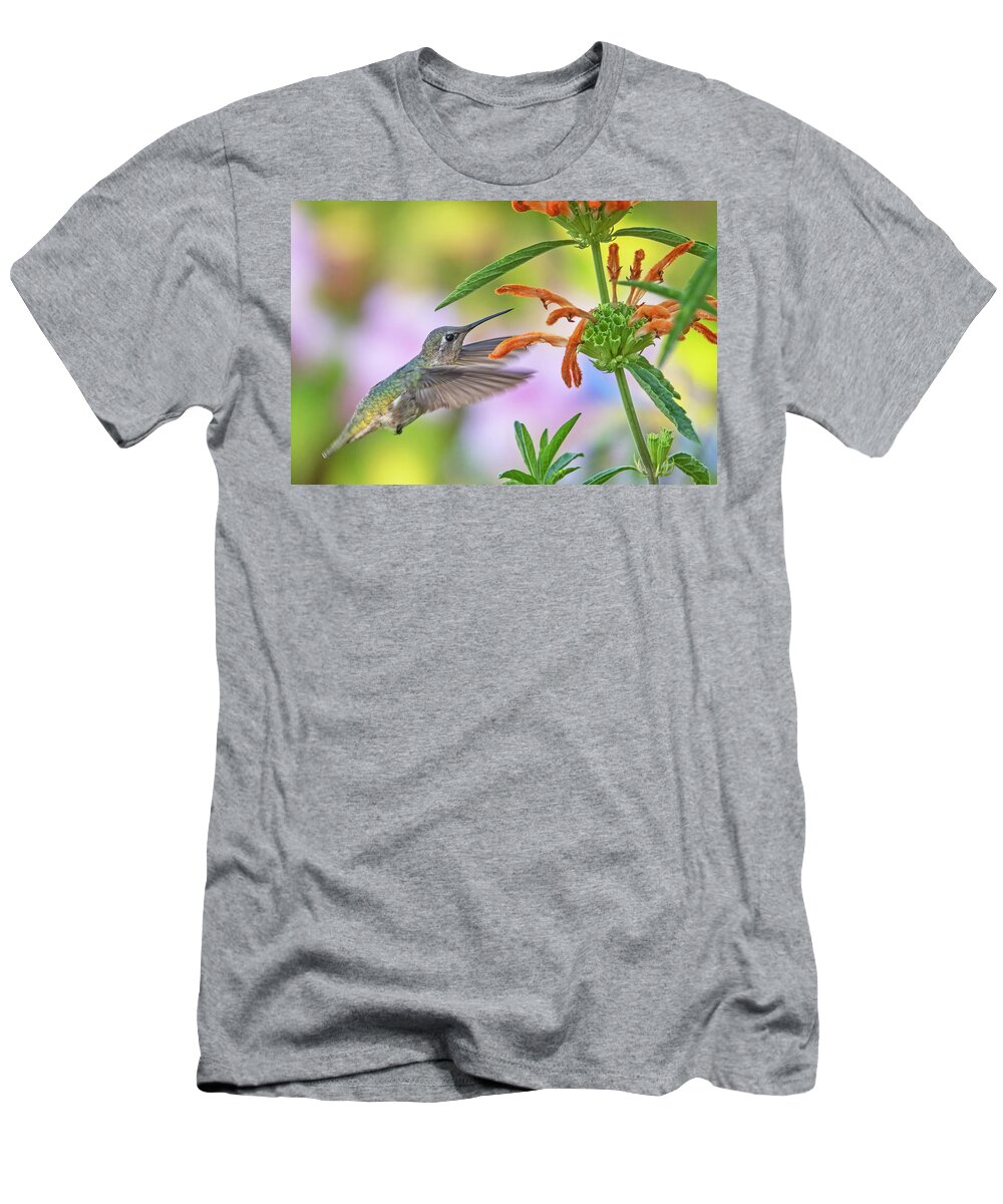 Anna's Hummingbird T-Shirt featuring the photograph Anna's Hummingbird #4 by Carla Brennan