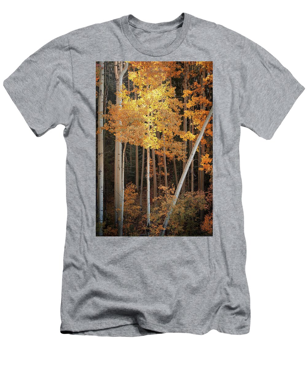 Scenics T-Shirt featuring the photograph Aspen Glow by Mary Lee Dereske