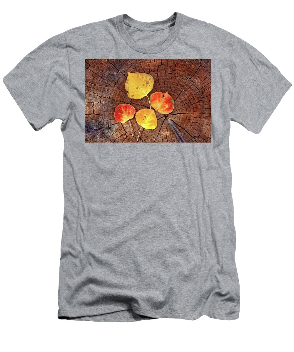 Colorado T-Shirt featuring the photograph Aspen leaves on a log by Bob Falcone