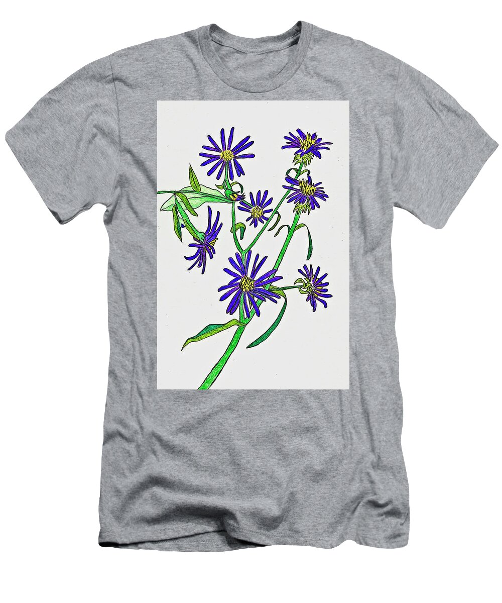 Aster T-Shirt featuring the drawing Aster Wildflowers by Karen Nice-Webb