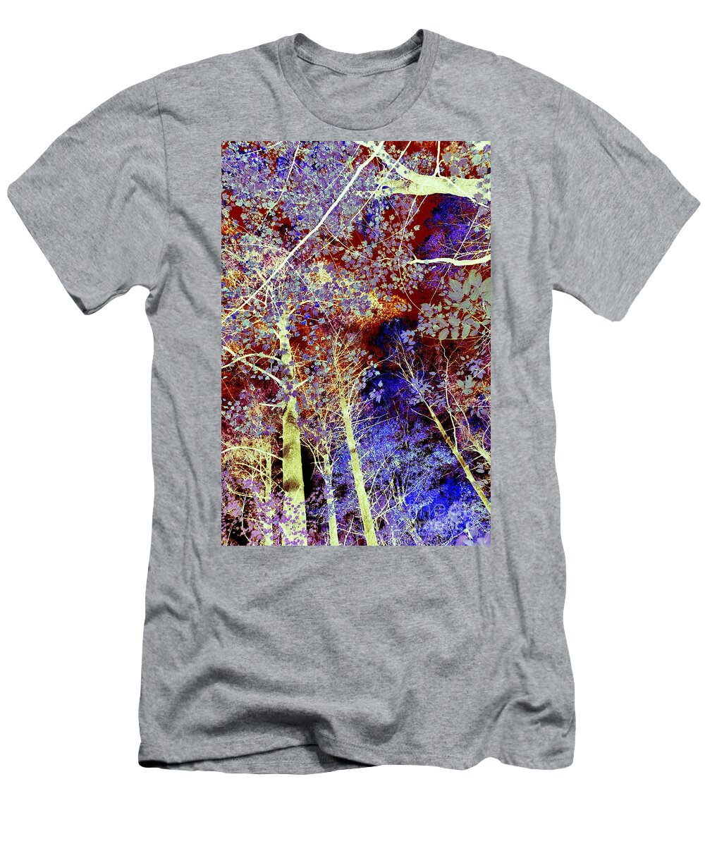 Autumn T-Shirt featuring the photograph Autumn Collage Abstract by Terri Gostola