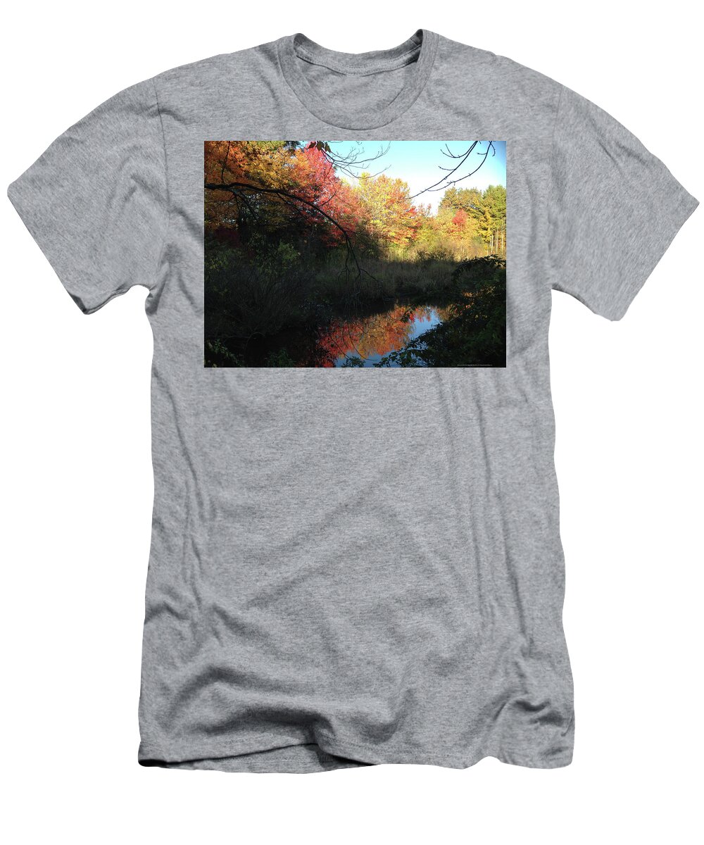 Salem T-Shirt featuring the photograph Autumn in Salem by Roxy Rich
