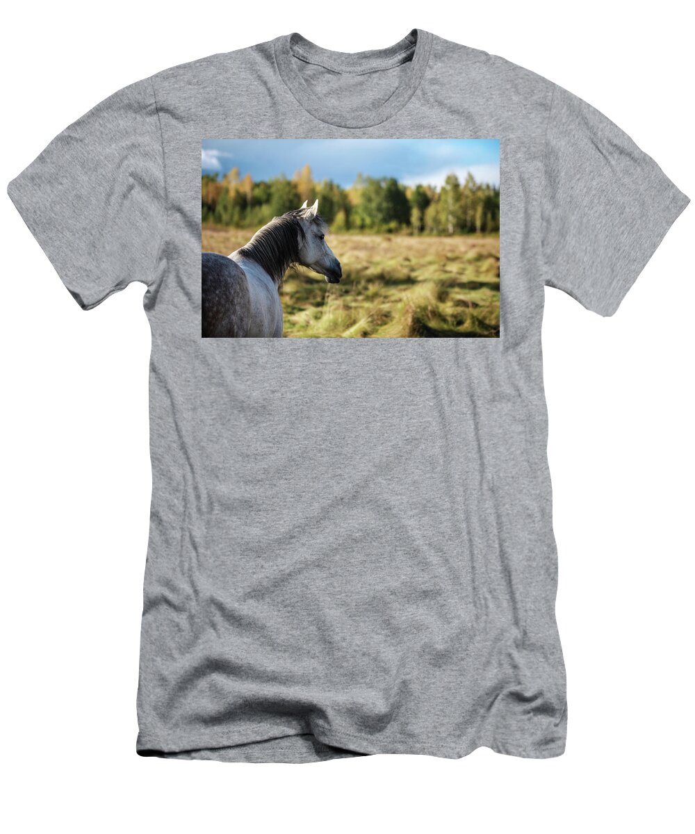 Horse T-Shirt featuring the photograph Autumn Splendour by Listen To Your Horse