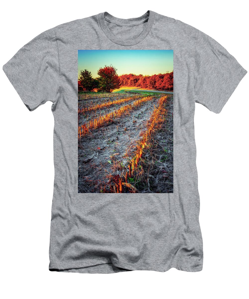 Autumn T-Shirt featuring the photograph Autumn Sunrise on Frosty Corn Stalks by Dan Carmichael