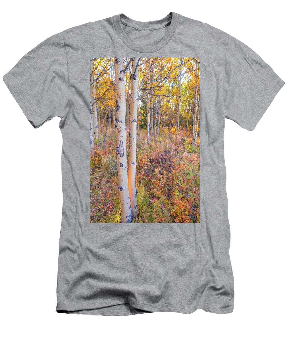 Autumn T-Shirt featuring the photograph Autumn's Warm Light by Darren White