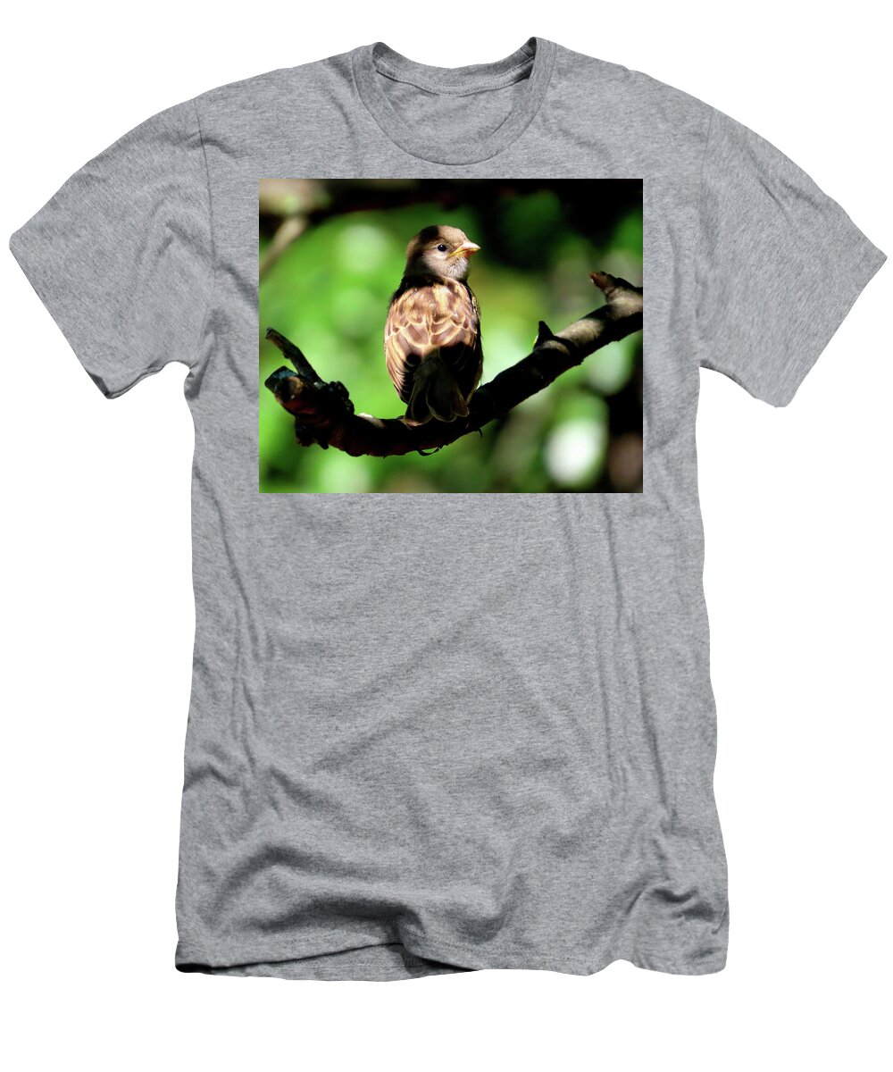 Birds T-Shirt featuring the photograph Baby House Sparrow in the Shadows by Linda Stern