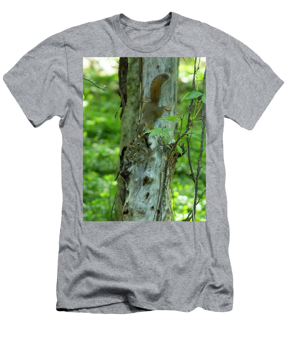 Squirrels T-Shirt featuring the photograph Baby Squirrels by Geoff Jewett