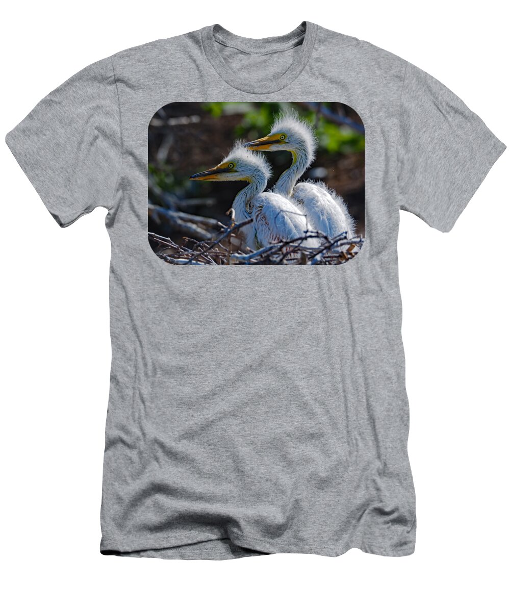 Jim T-Shirt featuring the photograph Backlit Egret Chicks by James Peterson