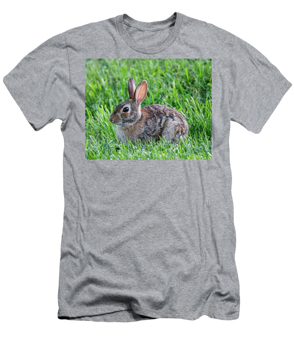 Rabbit T-Shirt featuring the photograph Backyard Bunny by David Beechum