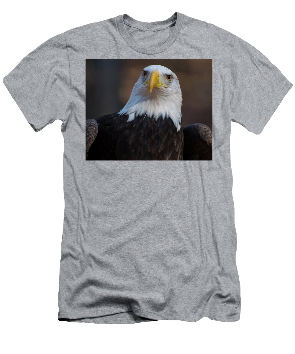 Bald Eagle T-Shirt featuring the photograph Bald eagle looking right by Flees Photos