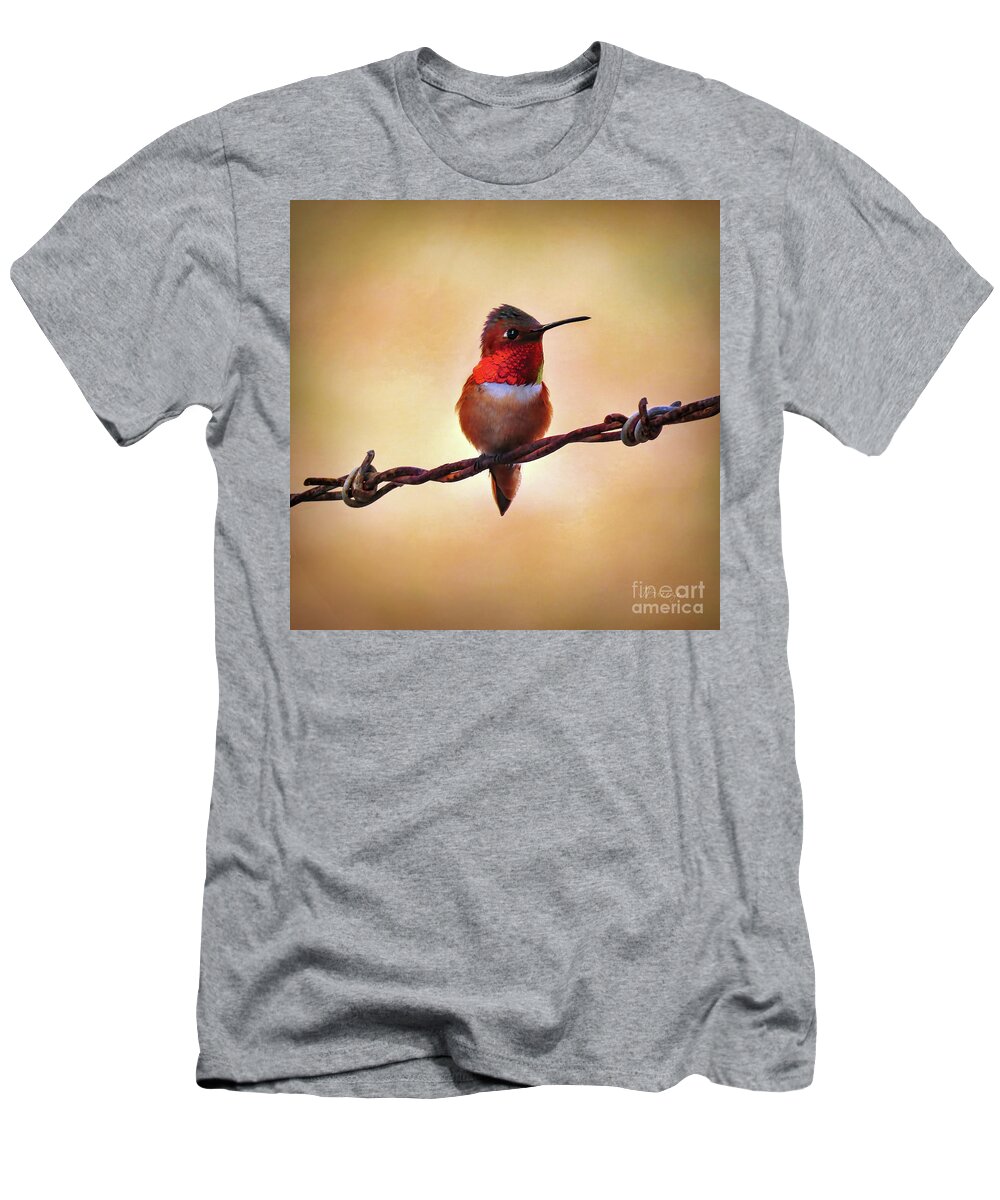 Allen's Hummingbird T-Shirt featuring the photograph Barbed Allen's Hummer by Jennie Breeze