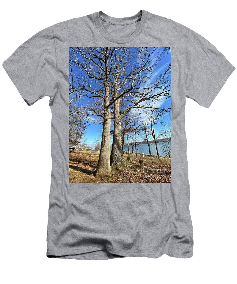 Trees T-Shirt featuring the photograph Bare Branches and Blue Sky by Kerri Farley