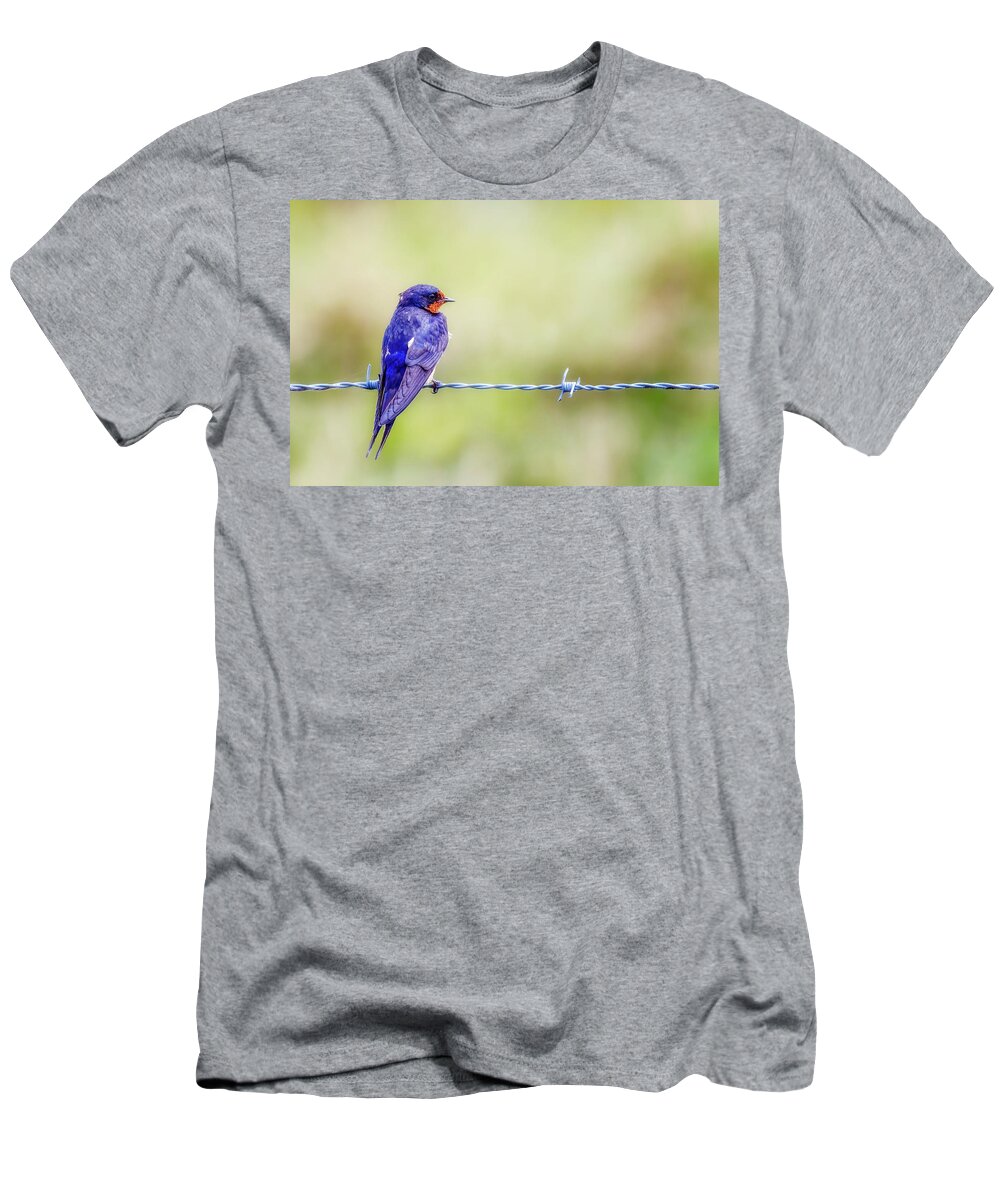 Barn Swallow T-Shirt featuring the photograph Barn Swallow Perched on Barbed Wire by Susan Rissi Tregoning