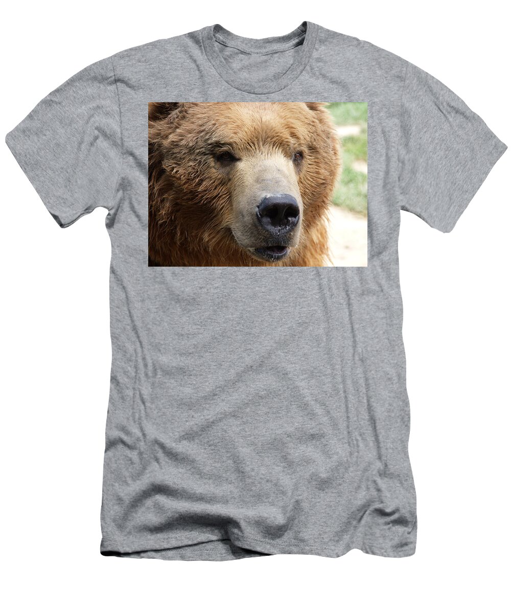 Animal T-Shirt featuring the photograph Bear by Tara Krauss