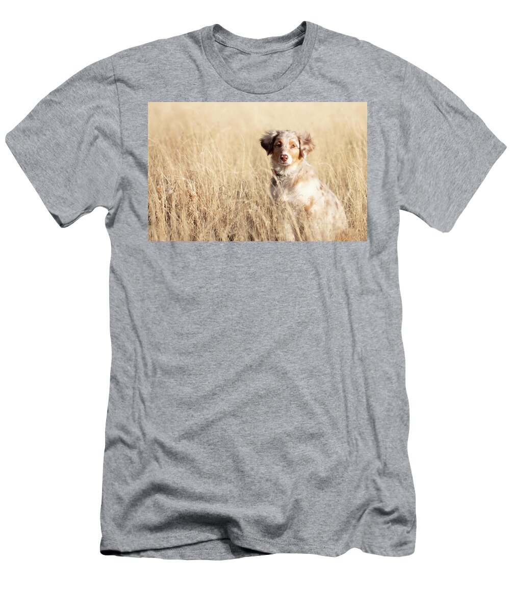 Australian Shepherd T-Shirt featuring the photograph Beautiful Amy by Marlo Horne