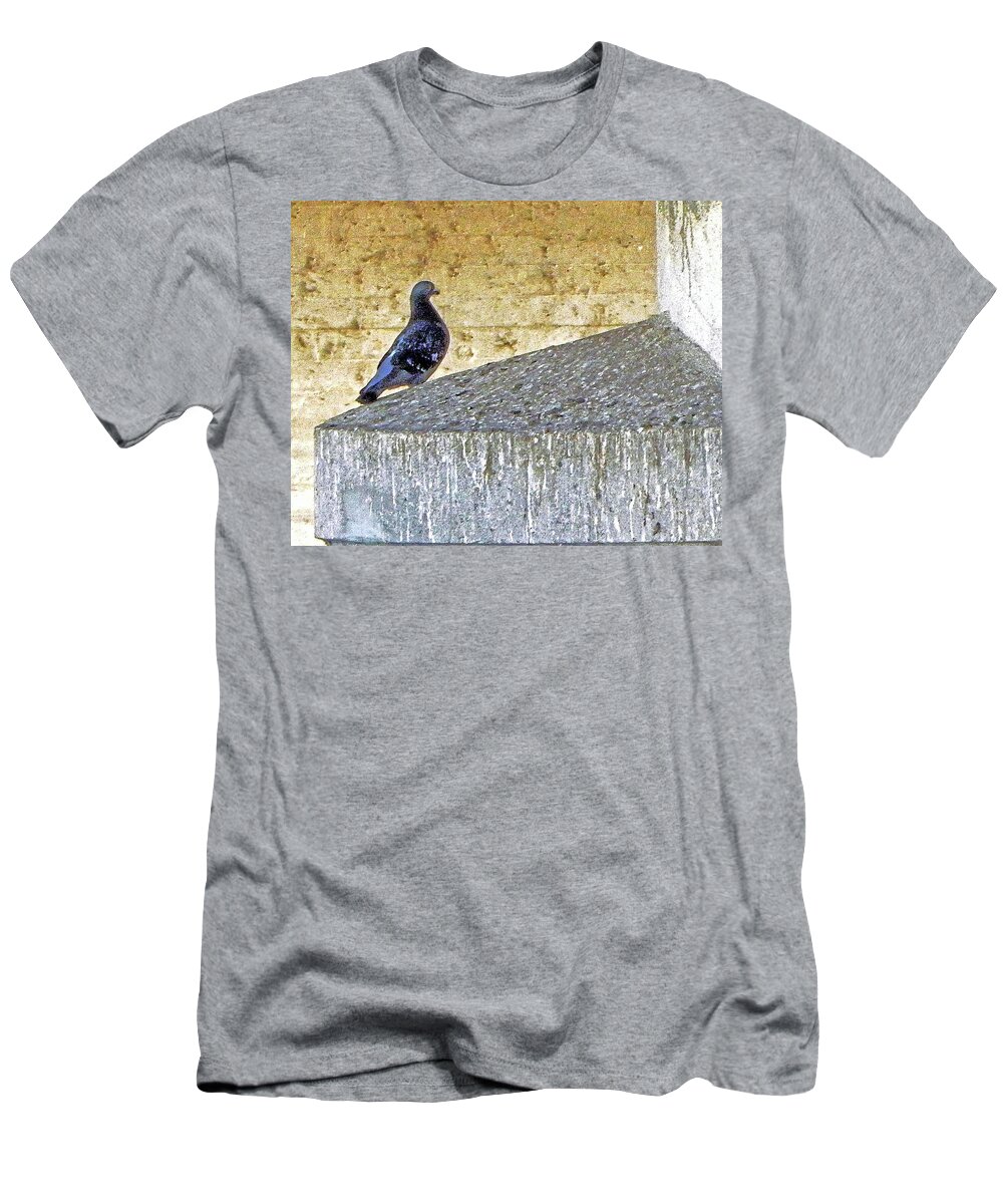 Bird T-Shirt featuring the photograph Bird Bridge Brown by Andrew Lawrence