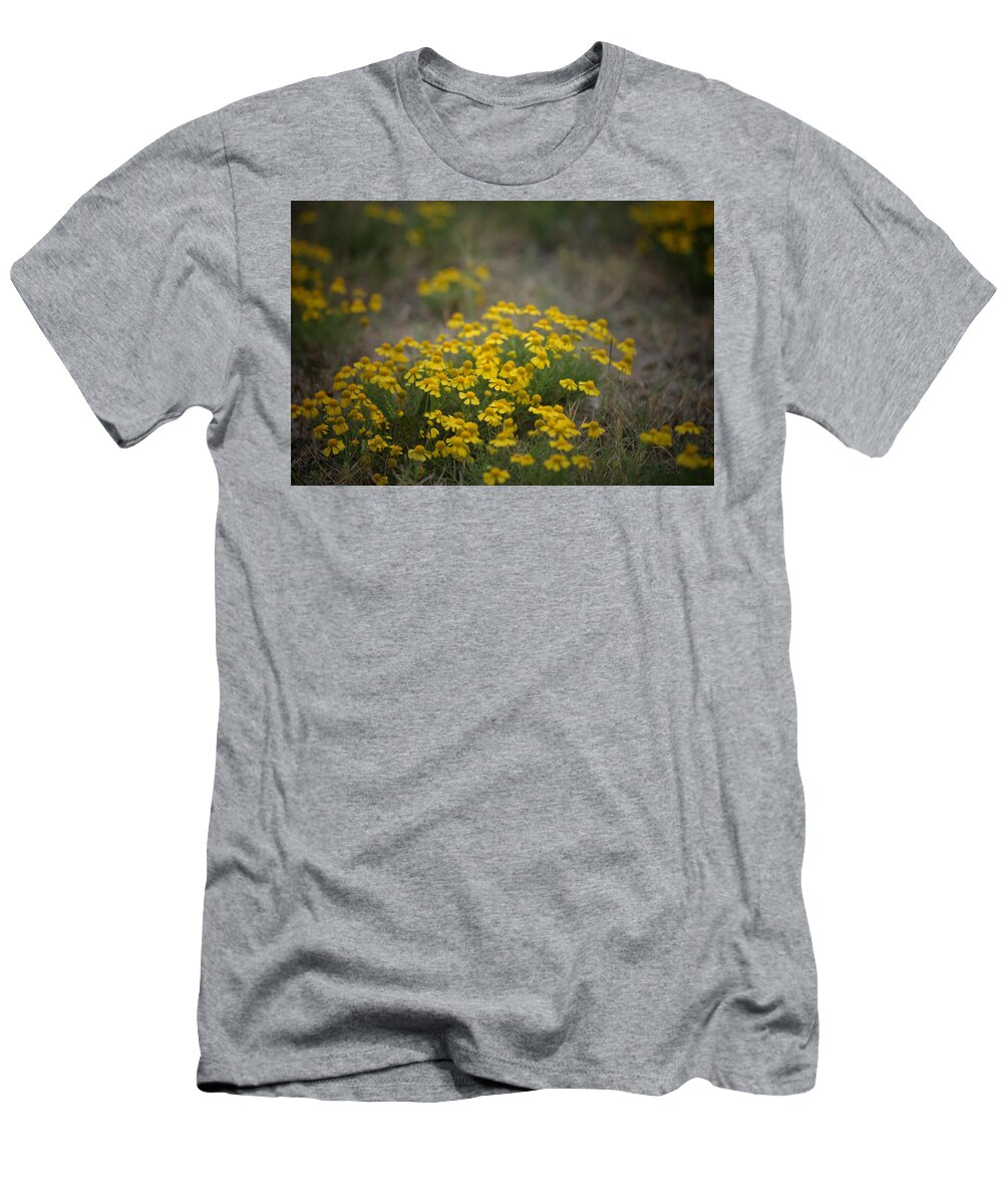 Daisy T-Shirt featuring the photograph Bitter Sneezeweed by DArcy Evans