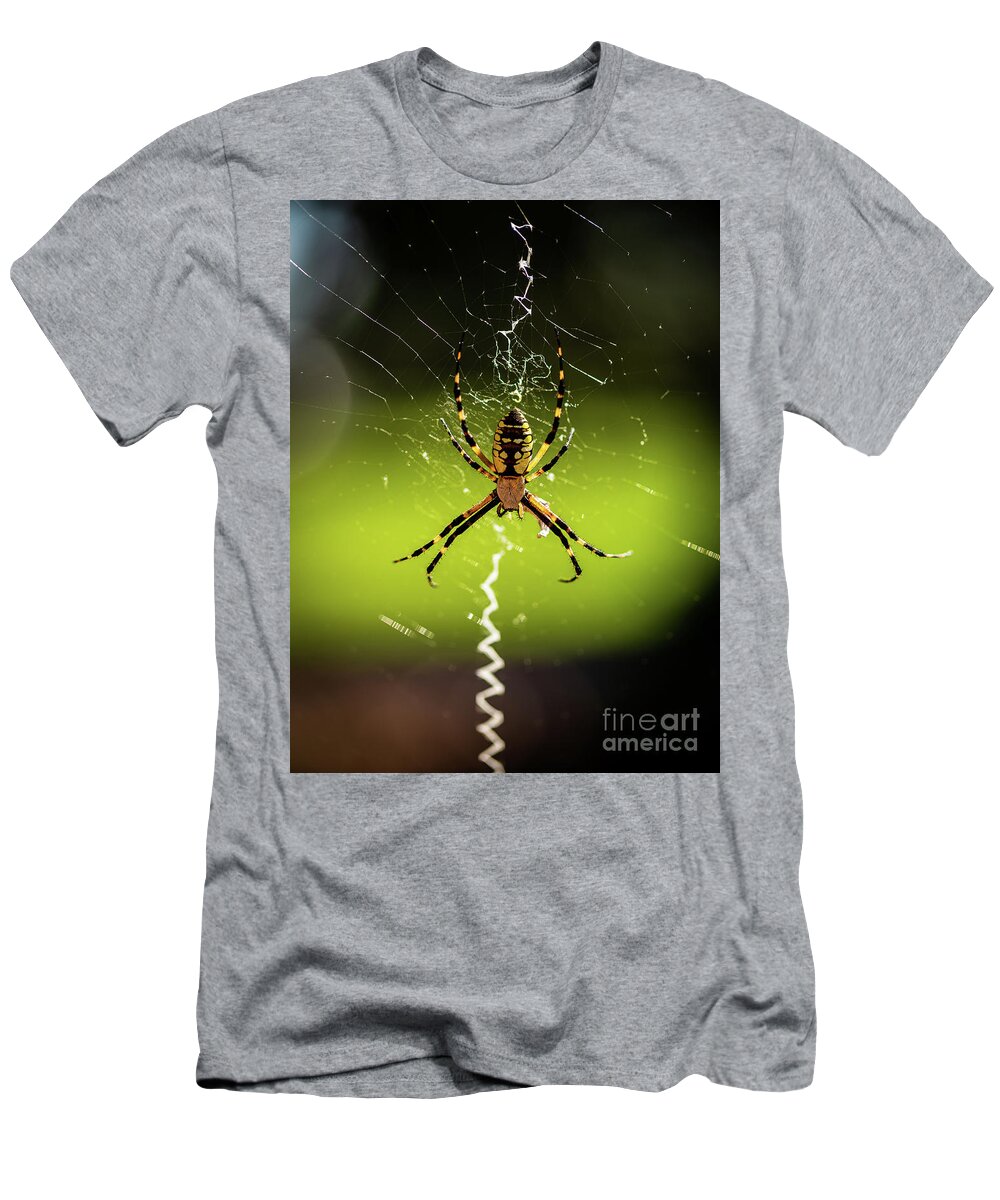 2020 T-Shirt featuring the photograph Black and Yellow Argiope by Charles Hite