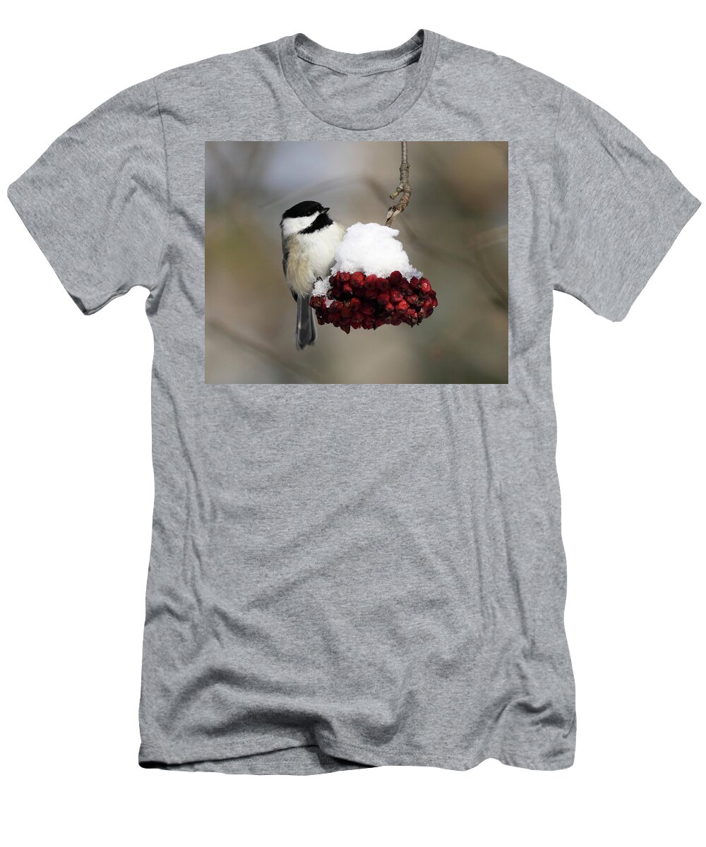 Black Capped Chickadee T-Shirt featuring the photograph Black Capped Chickadee by John Rowe