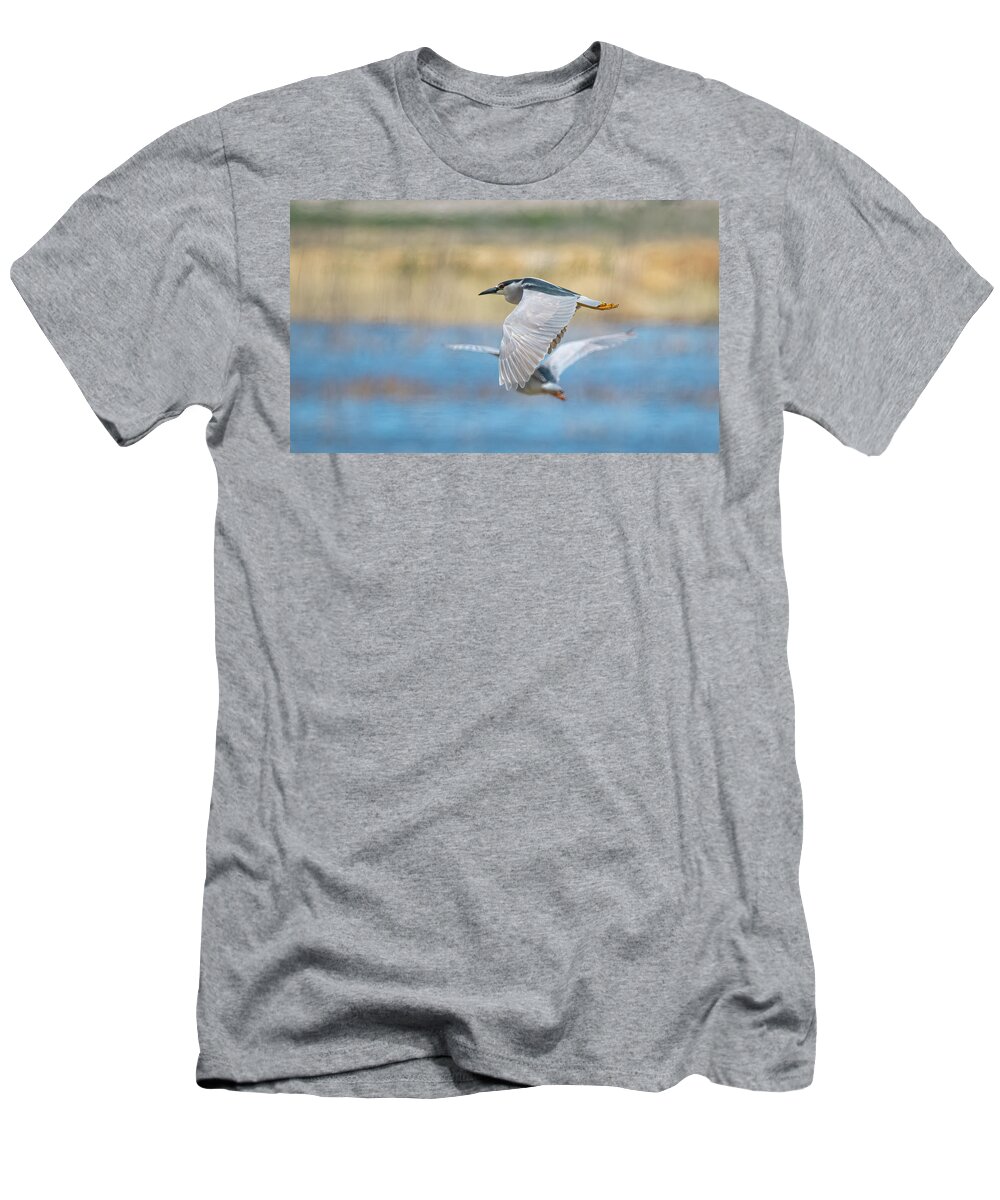 Lahontan T-Shirt featuring the photograph Black Crowned Night Heron in Flight by Rick Mosher