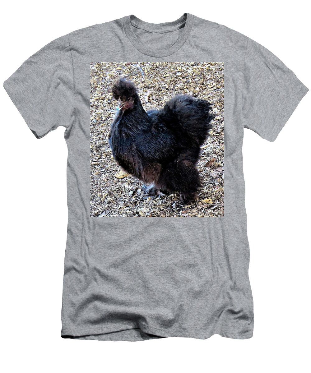 Black Chickens T-Shirt featuring the photograph Black Silkie Bantam by Linda Stern