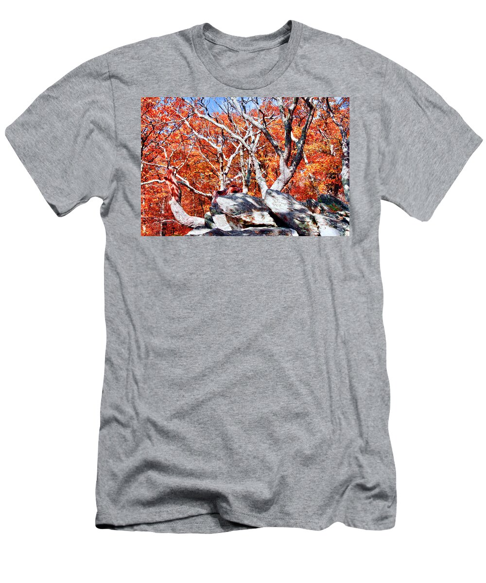 Gray Rocks T-Shirt featuring the photograph Blazing Fall Leaves Skyline Dr by The James Roney Collection