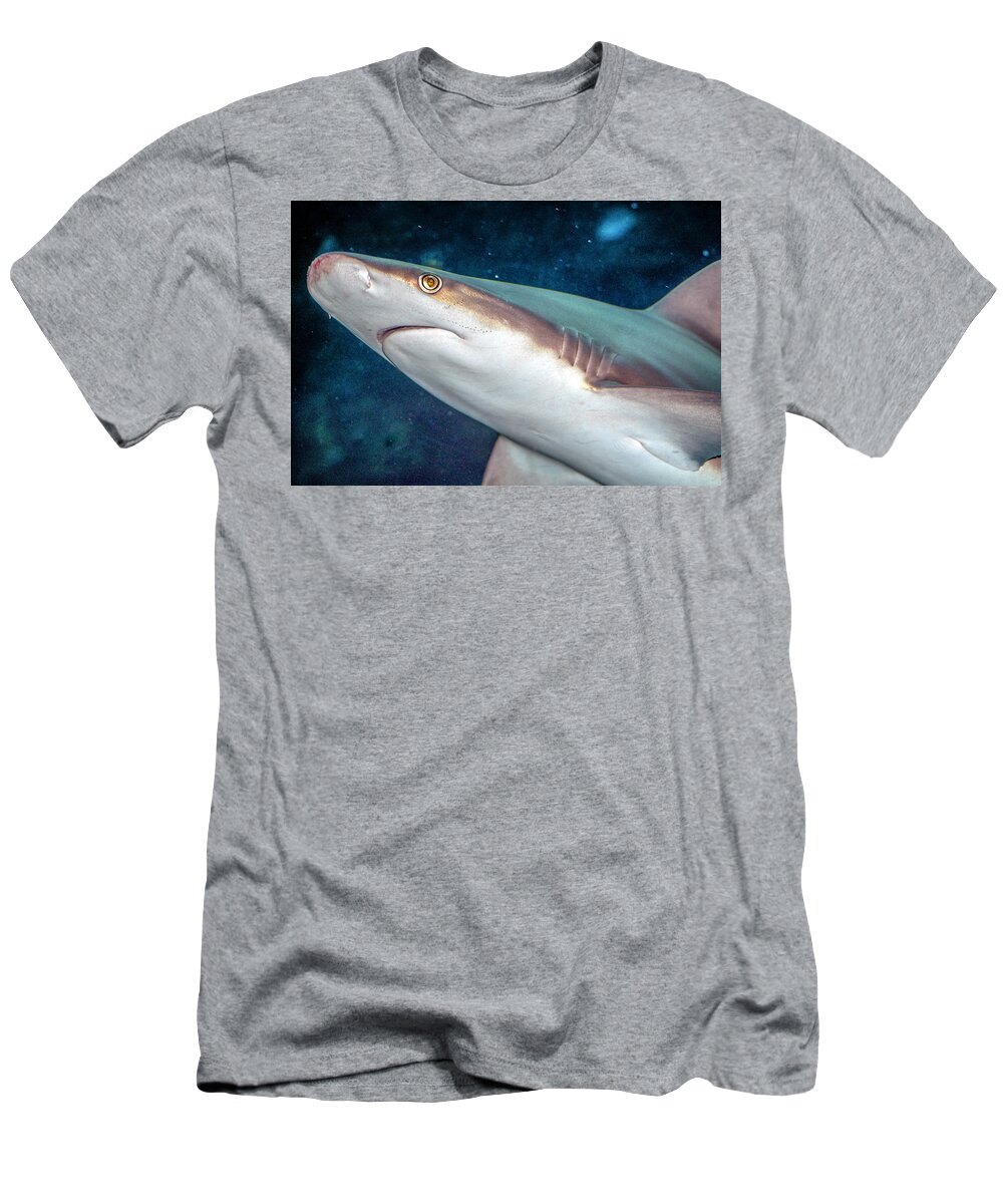 Bloody T-Shirt featuring the photograph Bloody Nosed Shark by WAZgriffin Digital