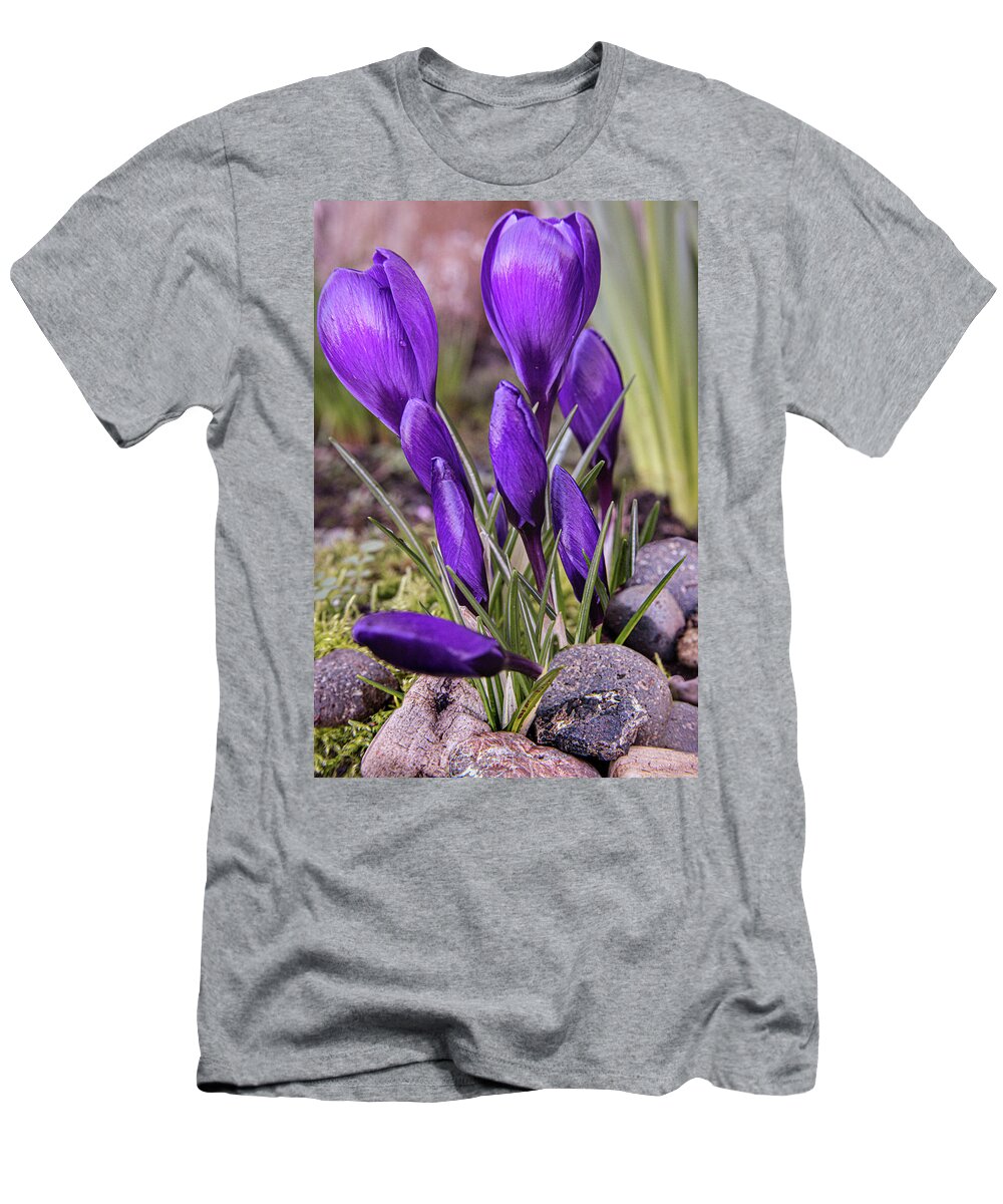 Tulips T-Shirt featuring the photograph Blooming Tulips by Sally Bauer