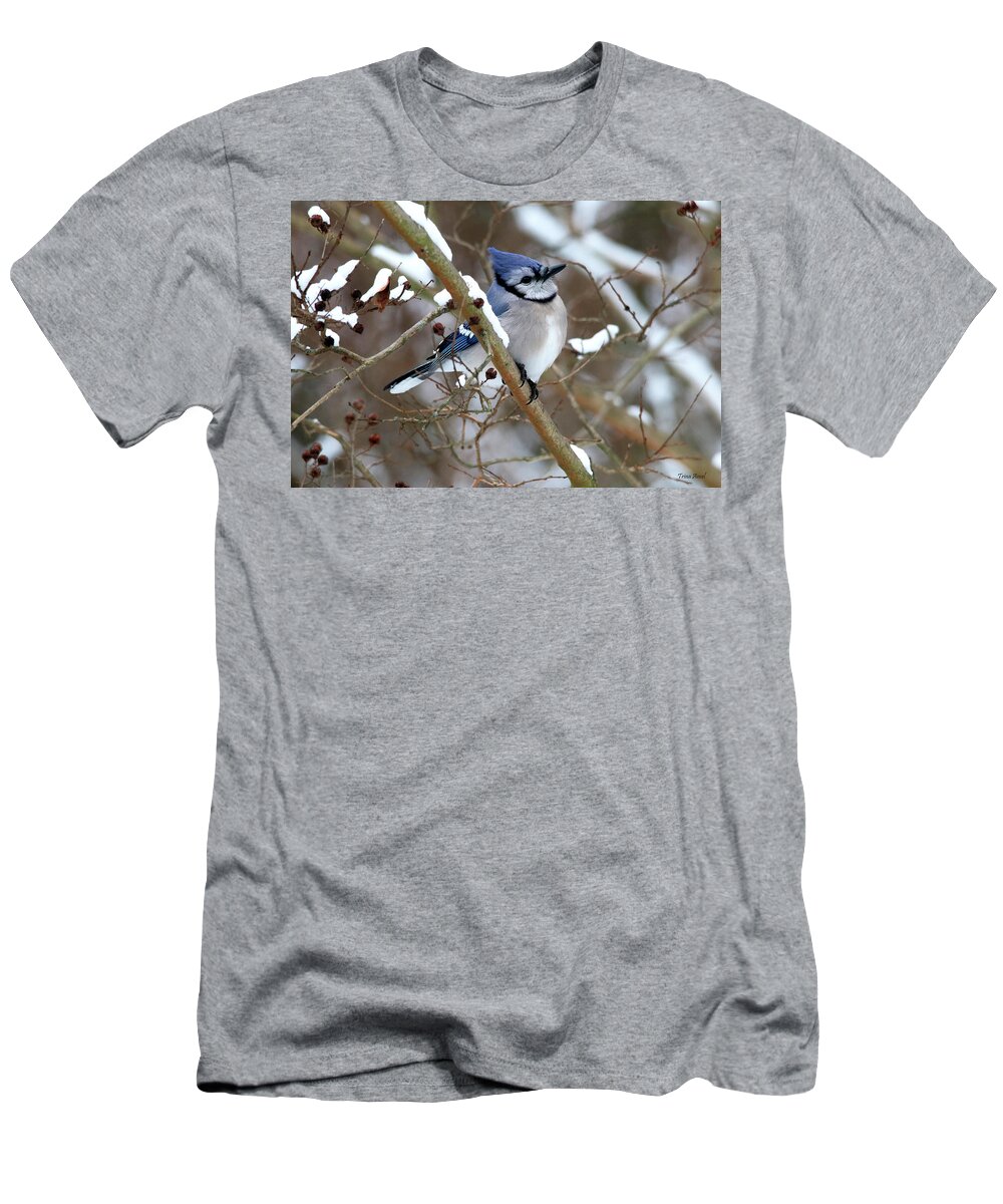 Birds T-Shirt featuring the photograph Blue Jay on a Snowy Branch by Trina Ansel
