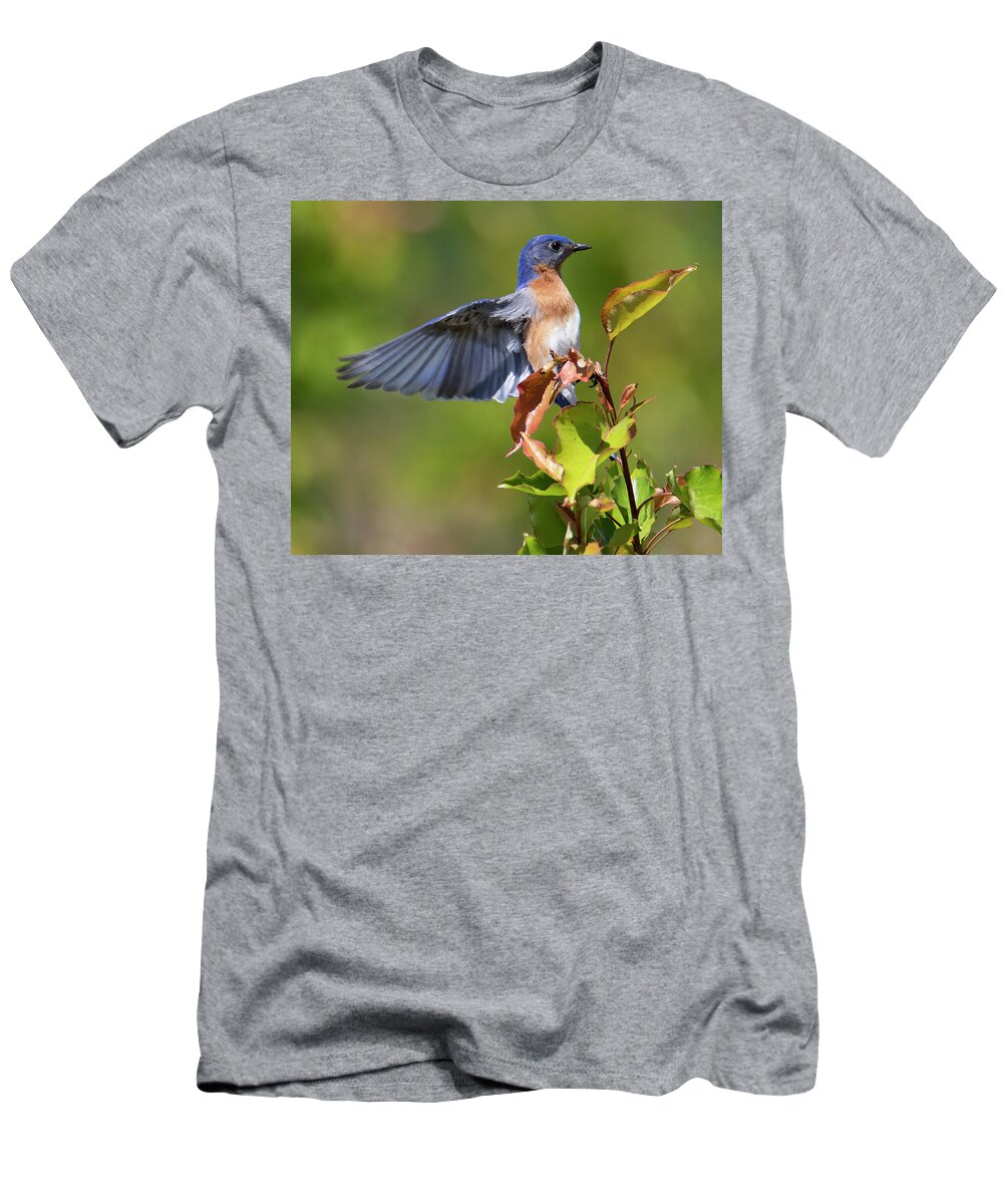 Bird T-Shirt featuring the photograph Bluebird Rising by Art Cole