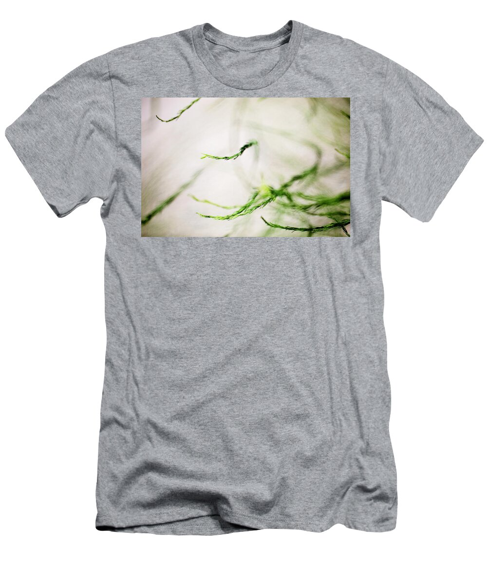 Asparagus T-Shirt featuring the photograph Botanical Garden 2 by Nailia Schwarz