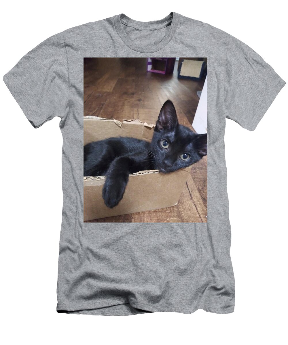 Cat T-Shirt featuring the photograph Boxy Lady by Aaron Martens