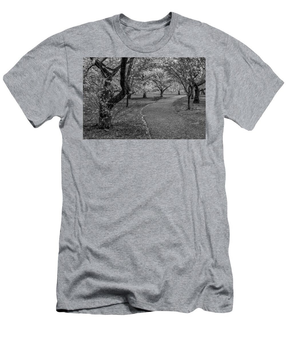 Cherry Blossom T-Shirt featuring the photograph Branch Brook Park NJ BW by Susan Candelario