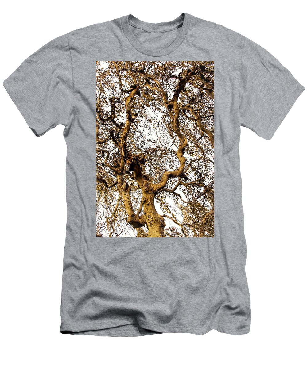 Tree Branch Sky Leaves T-Shirt featuring the photograph Branch Sky by John Linnemeyer