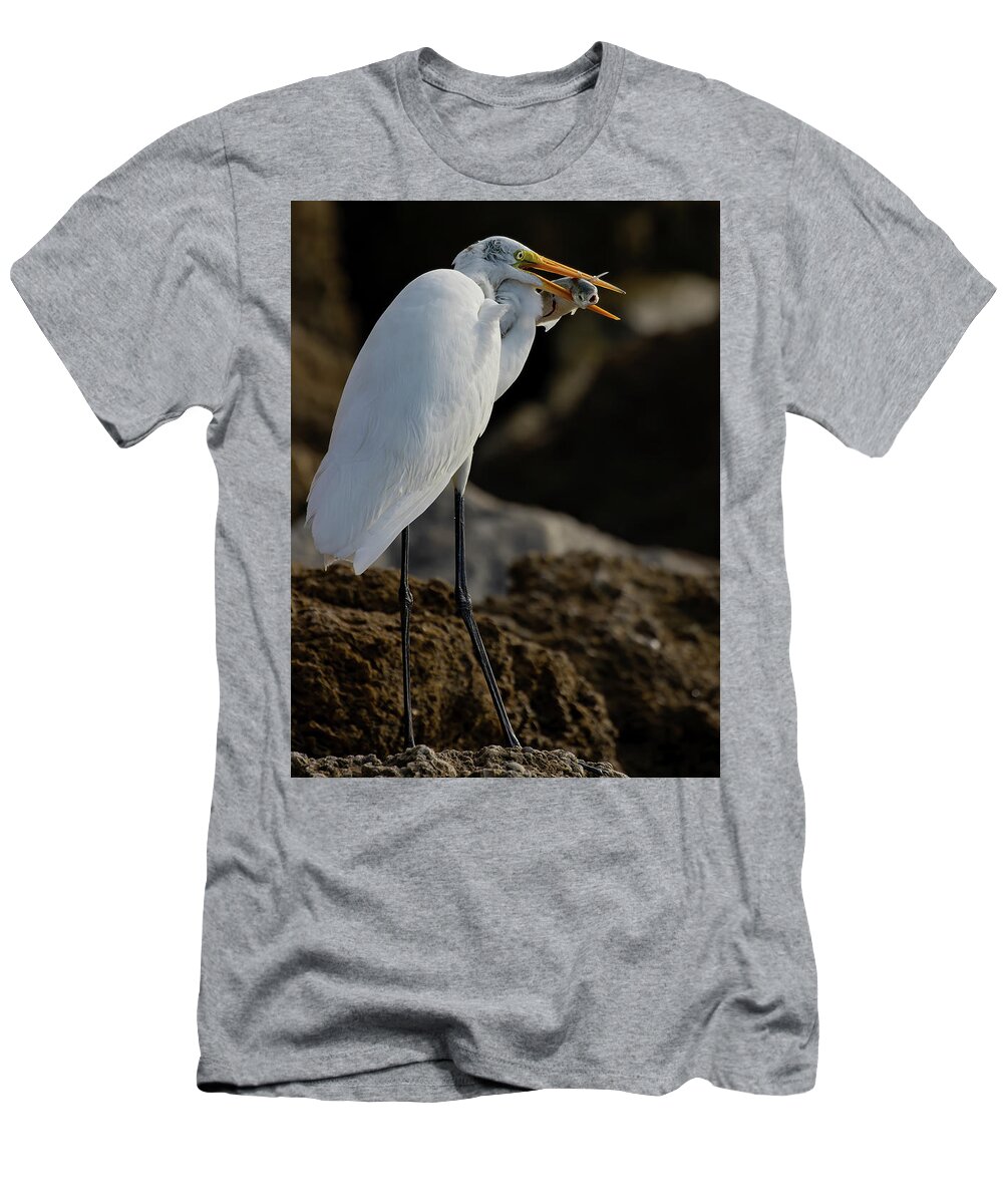 Great Egret T-Shirt featuring the photograph Breakfast on the rocks by RD Allen