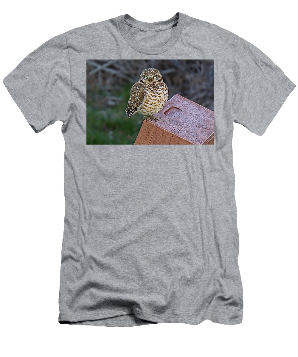 Alone T-Shirt featuring the photograph Bright Eyes by David Desautel