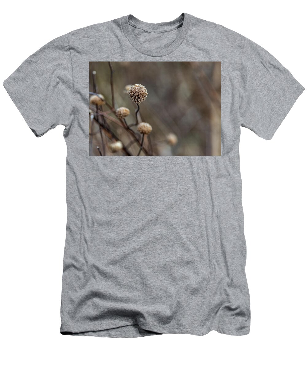 Flower T-Shirt featuring the photograph Brown Plants Closeup by Amelia Pearn
