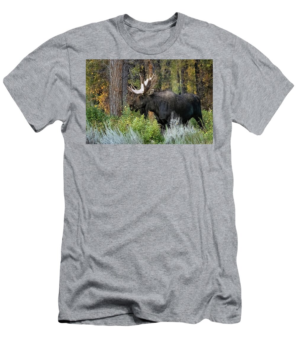 Nature T-Shirt featuring the photograph Bull Moose by Linda Shannon Morgan