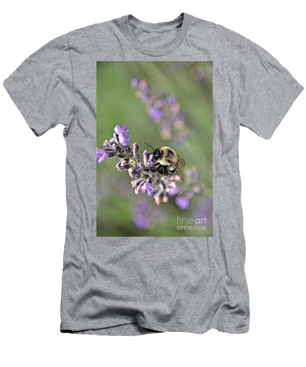 Bee T-Shirt featuring the photograph Bumblebee On The Lavender Field 3 by Andrea Anderegg