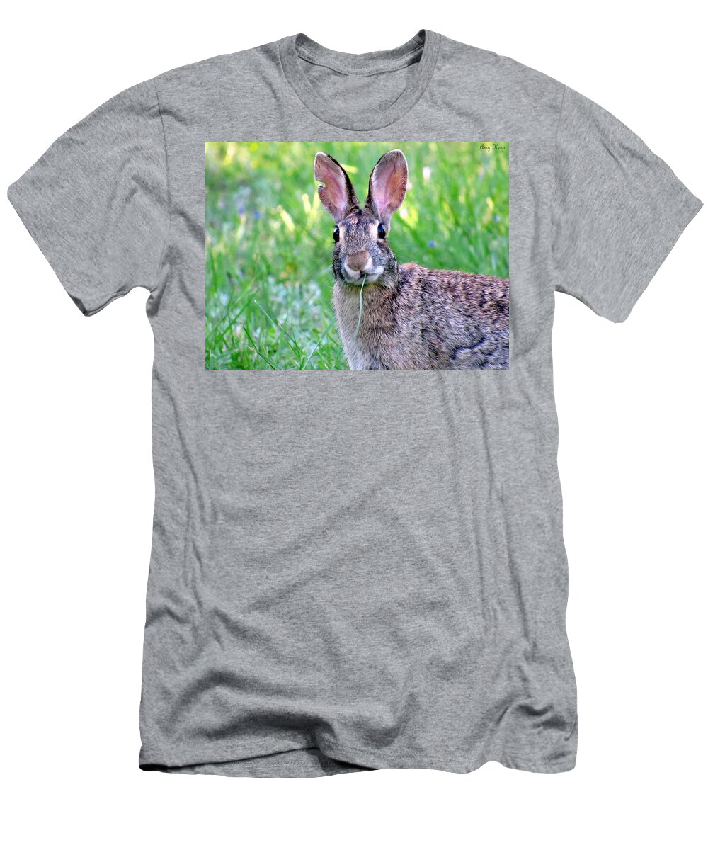Bunny T-Shirt featuring the photograph Bunny Love by Amy Hosp