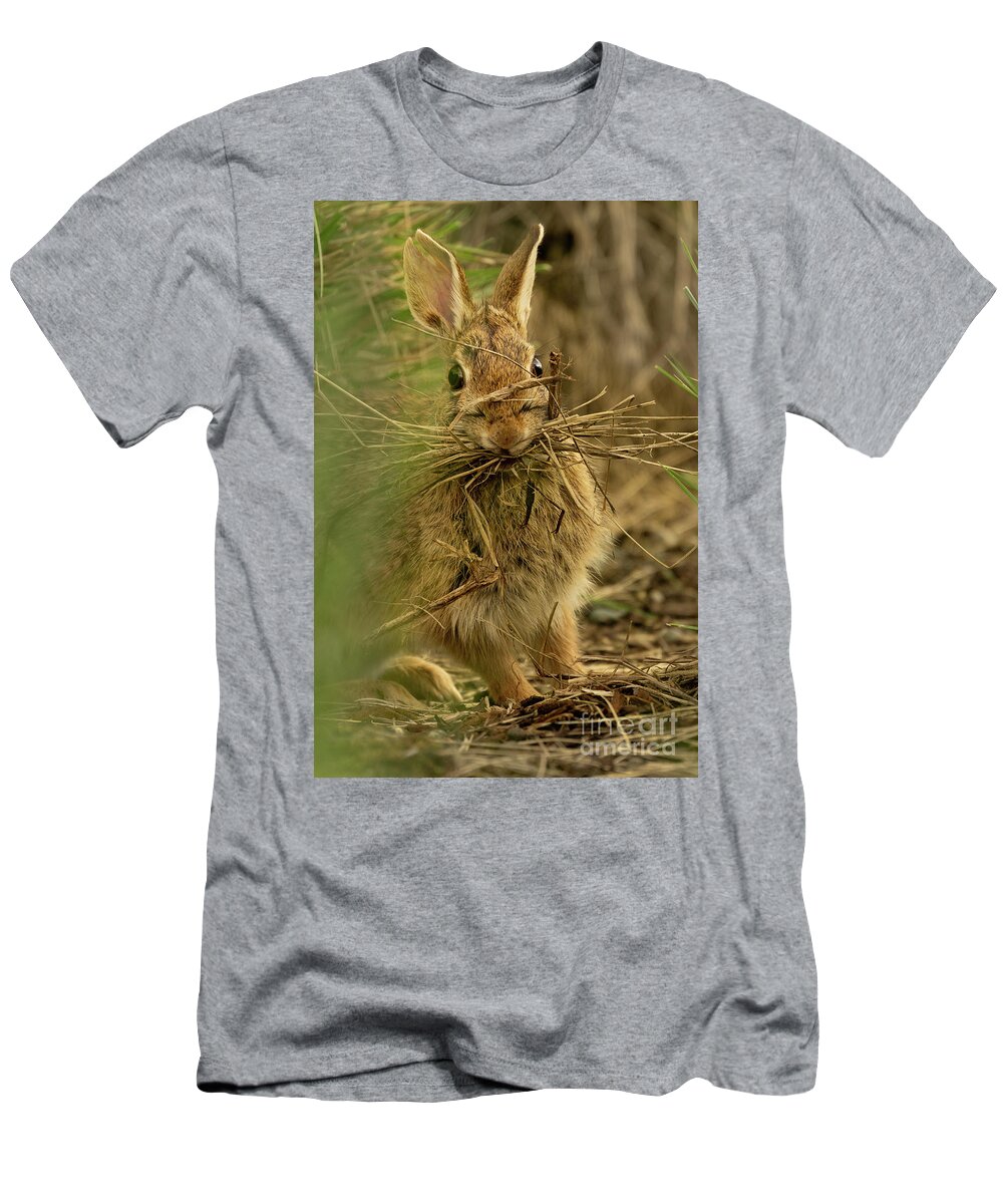 Eastern Cottontail Rabbit T-Shirt featuring the photograph Bunny with Her Sticks by Nancy Gleason