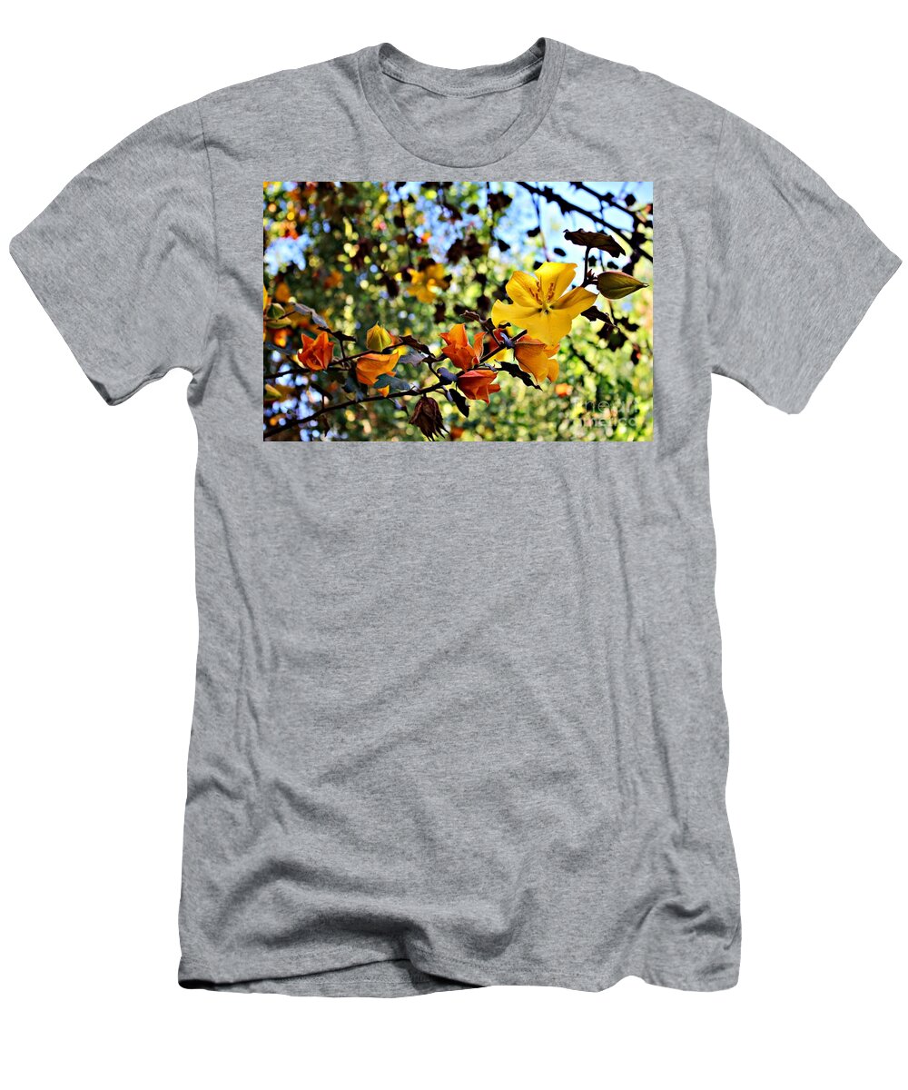 California Flannelbush T-Shirt featuring the photograph California Flannelbush in Bloom by Martha Sherman