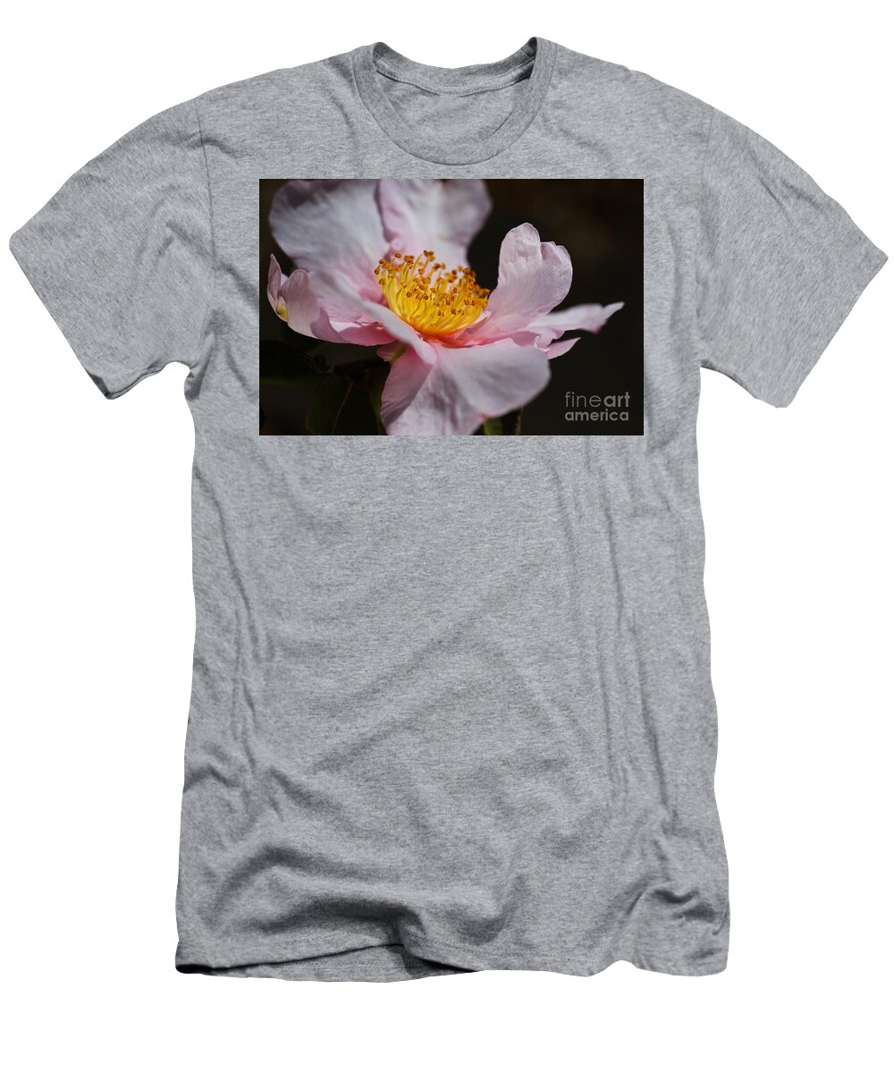 Ericales T-Shirt featuring the photograph Camellia Curves by Joy Watson