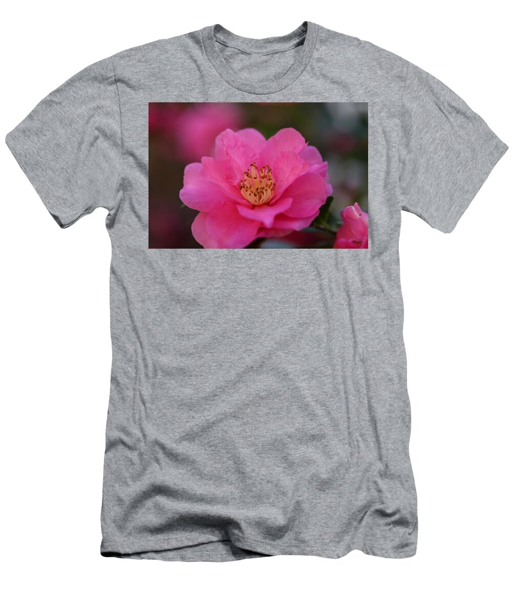 Camellia T-Shirt featuring the photograph Pink Camellia II by Mingming Jiang