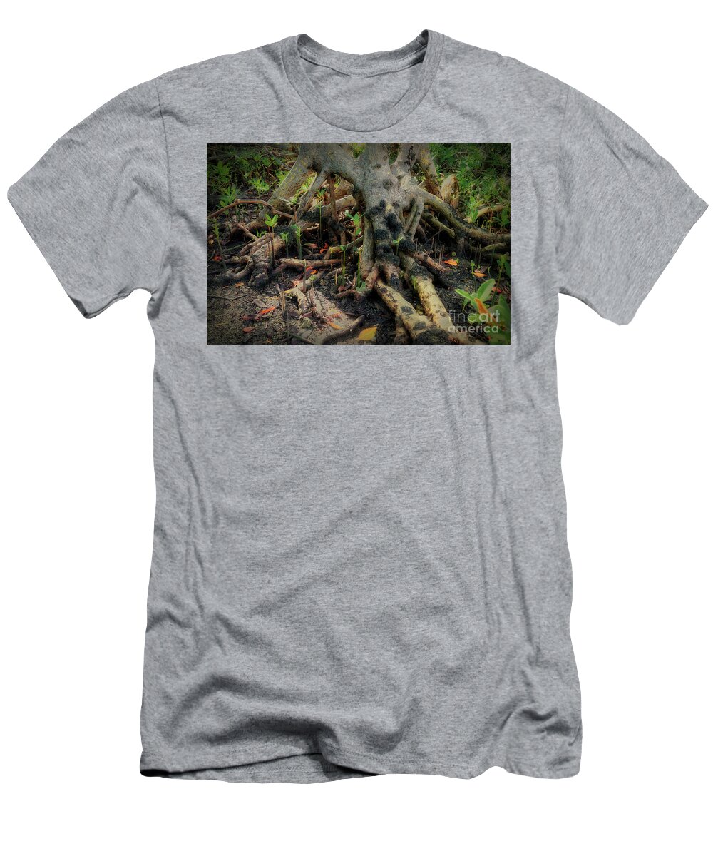 Winter T-Shirt featuring the photograph Can You See the Spooky Face in this Forest  by Doc Braham