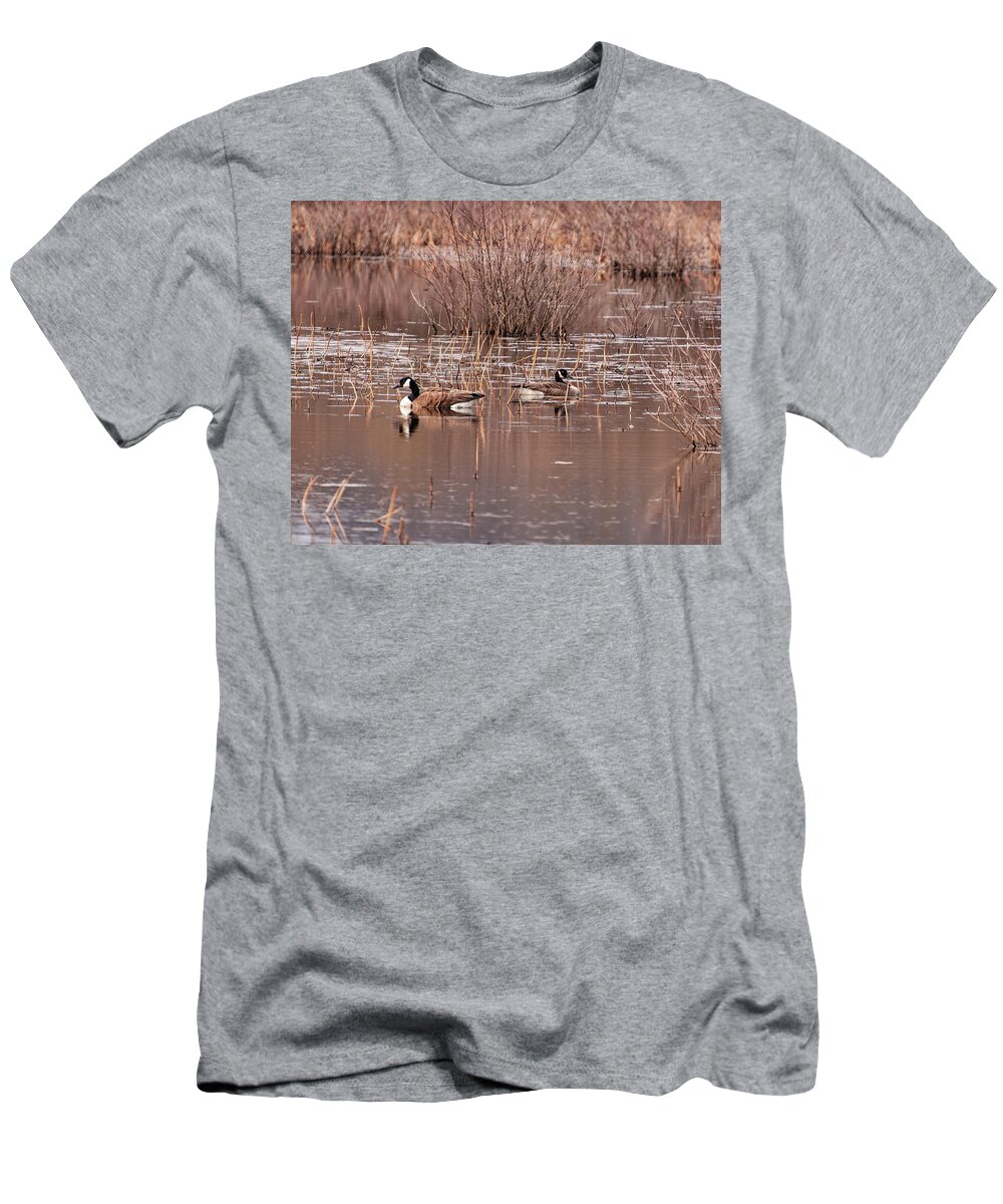 Canadian Geese T-Shirt featuring the photograph Canadian Geese On A Pond 2 by Flees Photos