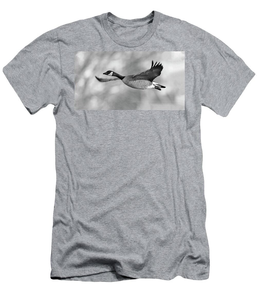 Canadian T-Shirt featuring the photograph Candian Goose flying by Gary Langley