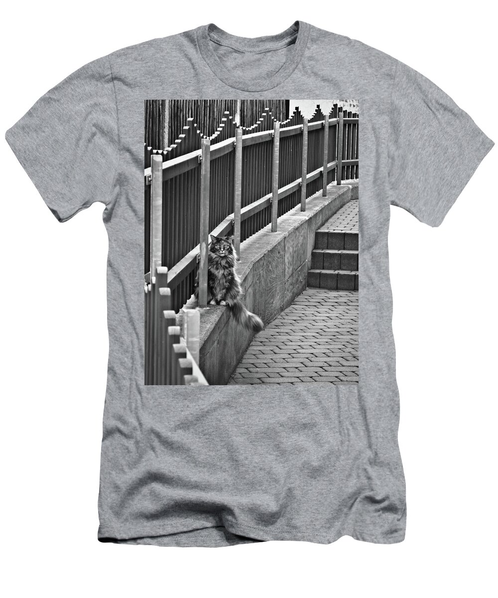 Germany T-Shirt featuring the photograph Cat on a fence by Naomi Maya