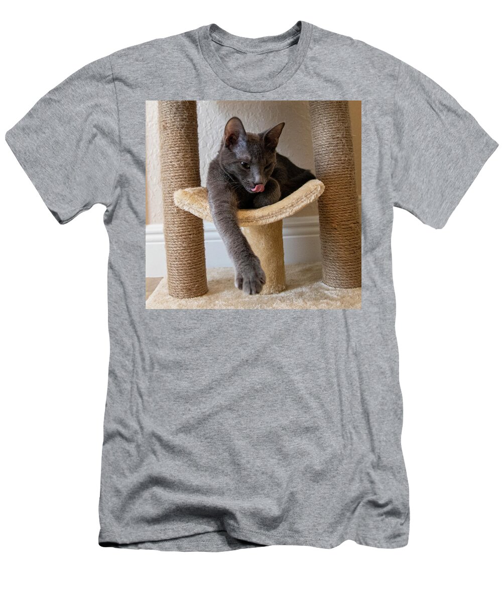 Cat T-Shirt featuring the photograph Cat Russian Blue by Dart Humeston